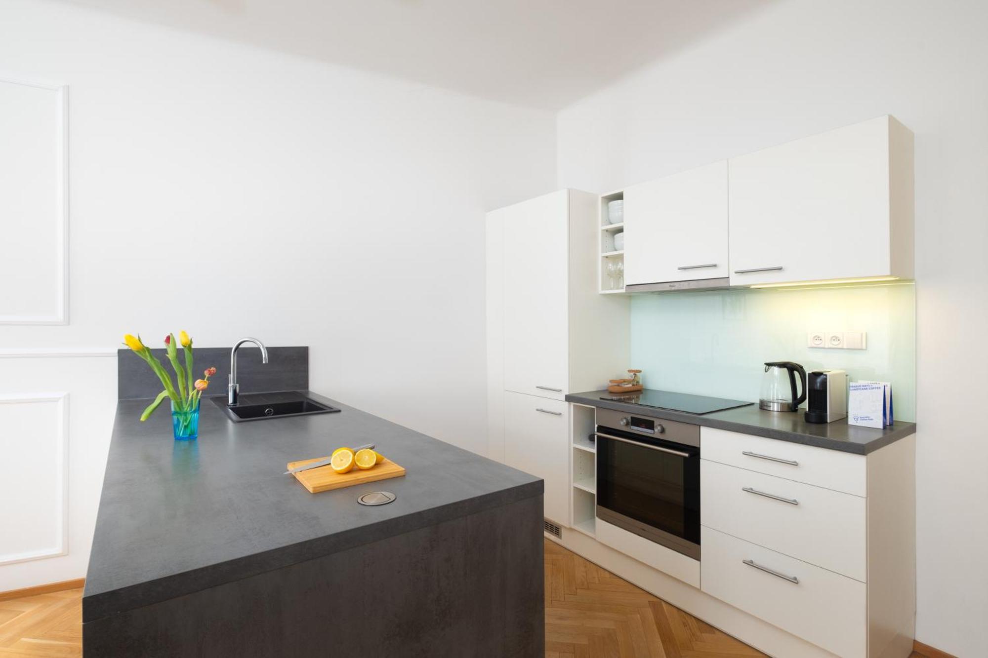 Stru House By Prague Days - Luxurious Apartments Next To National Theatre 外观 照片